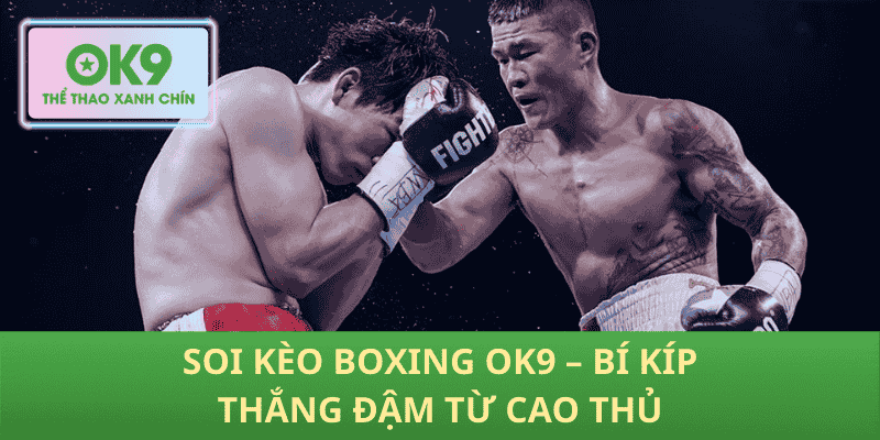 Soi Kèo Boxing OK9 – Bí Kíp Thắng Đậm Từ Cao Thủ